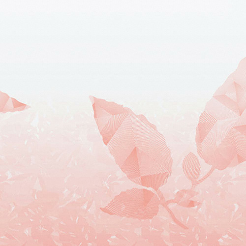 위니아 딤채 DOE203DTD_이미지