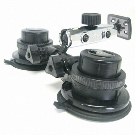 �Ƚ����� ������ Ʈ����