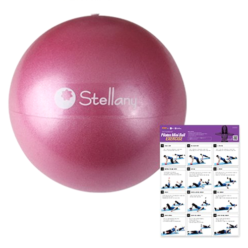 �ھ�ٵ� ���ڶ�� ����Ʈ�� �̴� 20cm