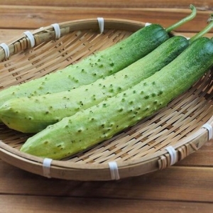 [불명] 국내산 백 다다기오이 48-50개 10kg