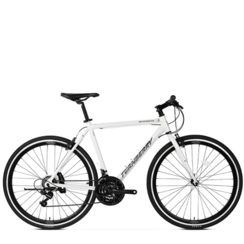 ���潺���� �Ϻ��� ��� (2022����)