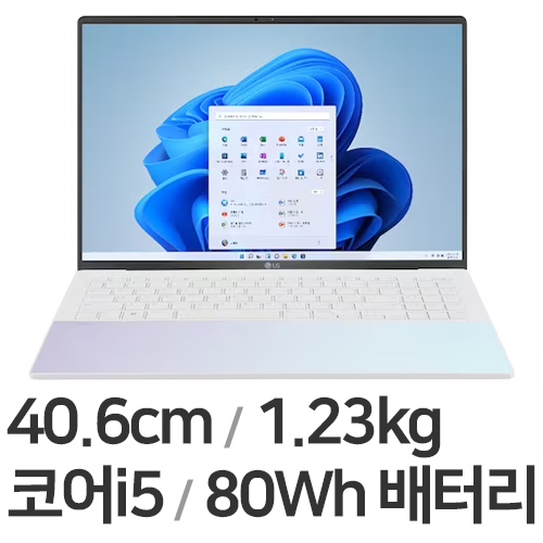 LG전자 그램 스타일16 16Z90RS-GA50K (SSD 256GB)