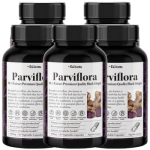 어스빌 파비플로라 흑생강 블랙진저 500mg 120캡슐 (5개)