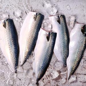 국내산 순살고등어160~200g