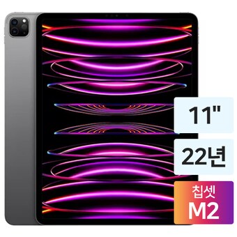 APPLE 2022 <b>iPad</b> <b>Pro</b> <b>11</b> 4세대 중고