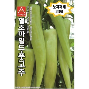 아시아종묘 고추씨앗종자 혈조마일드 10립 당조고추_이미지