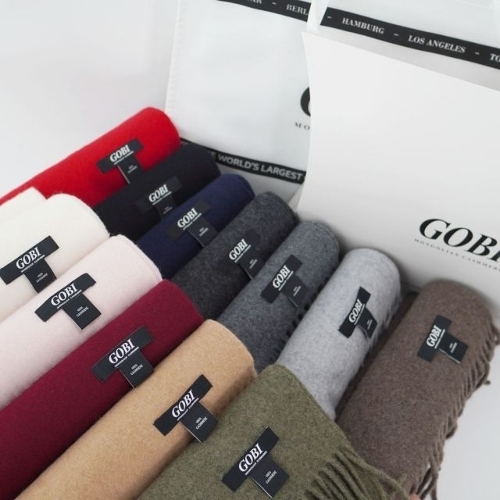 ���� GOBI ĳ�ù̾� ������ ���÷� 170x30cm