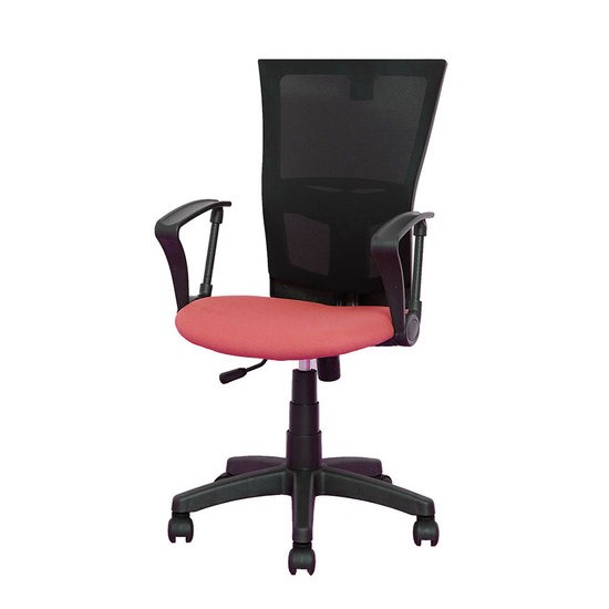 ������ ����о��� �л� ����