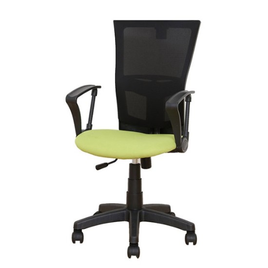 ������ ����о��� �л� ����