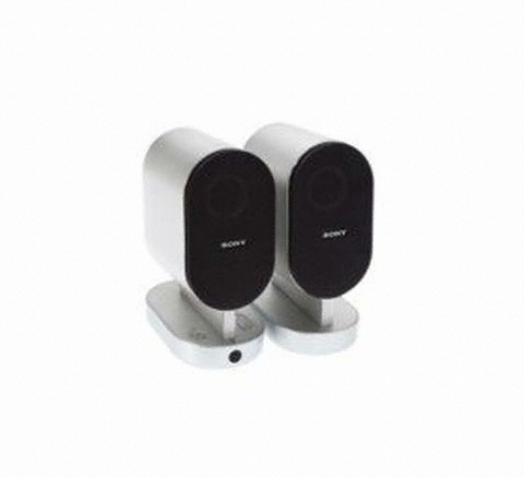 SONY SRS-ZX1