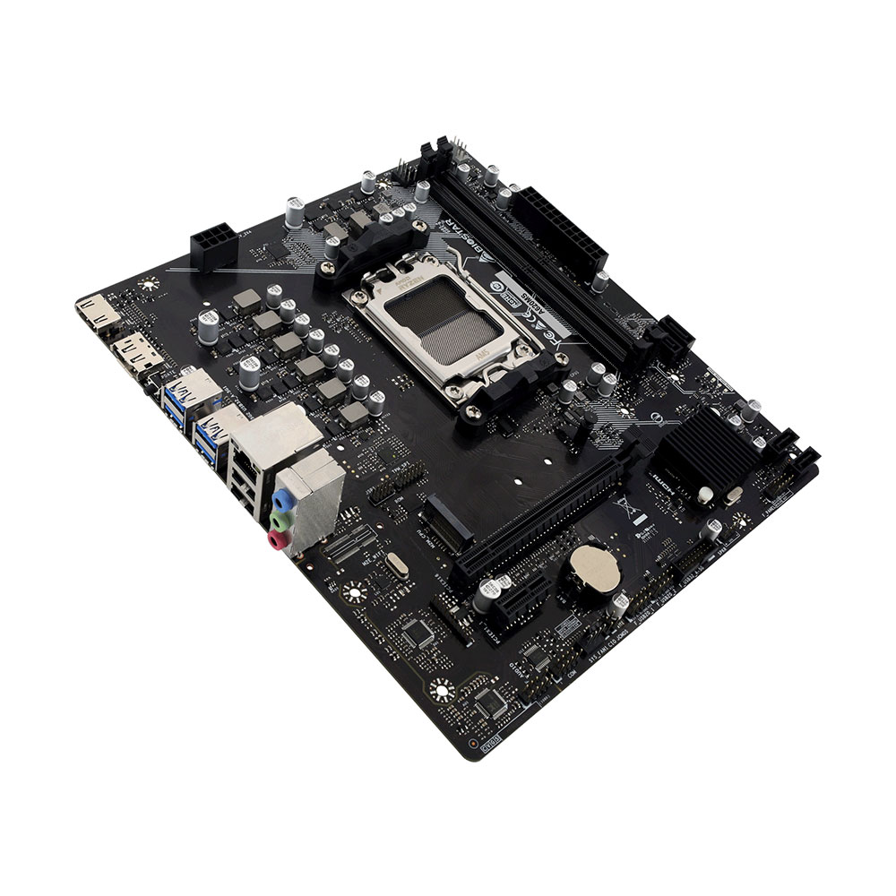 BIOSTAR A620MS ���̾���