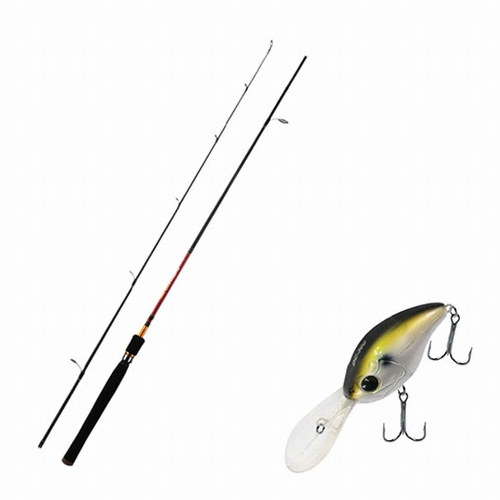 아피스 파이어스톰 배스+다미끼 디씨 300 세트 (S662ML )_이미지