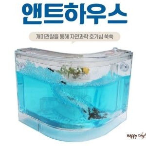 반디 ㄱ자형하우스 개미키우기 개미관찰 개미집 곤충키우기이미지입니다. 누르면 해당 게시물로 새창이동합니다.