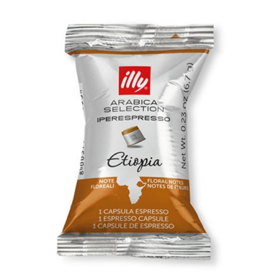 �ϸ� �ƶ��ī ������ ��Ƽ���Ǿ� 10����