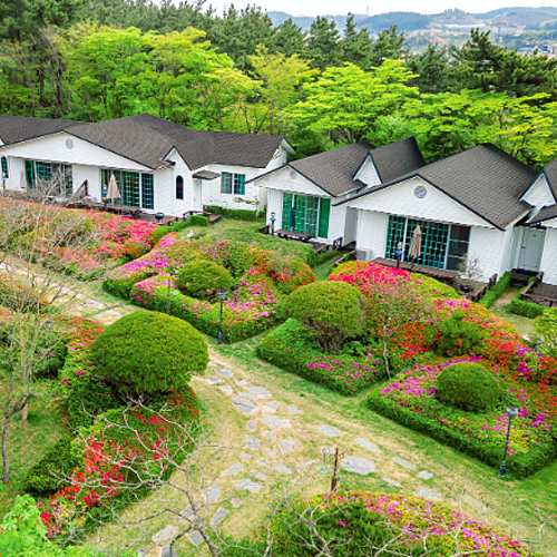 ㅤ태안 백화원리조트 (충남)_이미지
