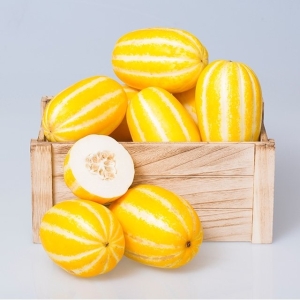 가정용 참외 실중량 4.5kg 중과