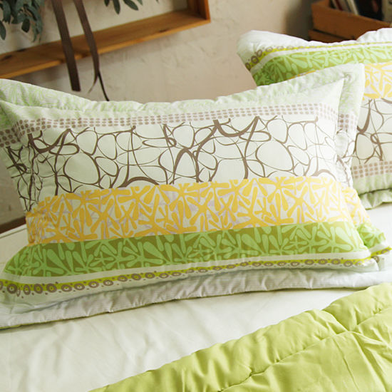 �ø����Ͽ콺 �ƶ� ����ƻ� �е� ����Ŀ��