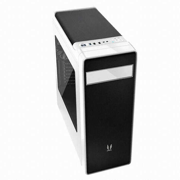 L300 미르 화이트