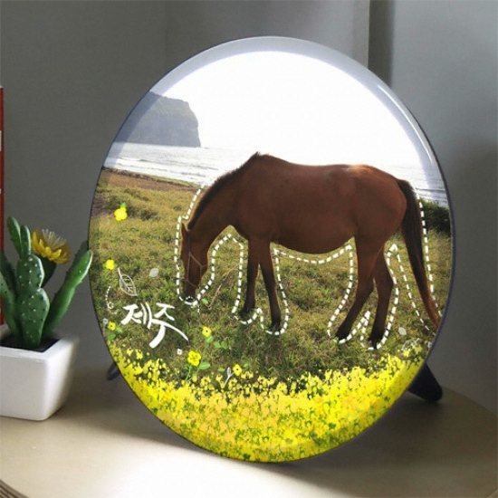 LED 여긴제주 액자 무드등 25cm