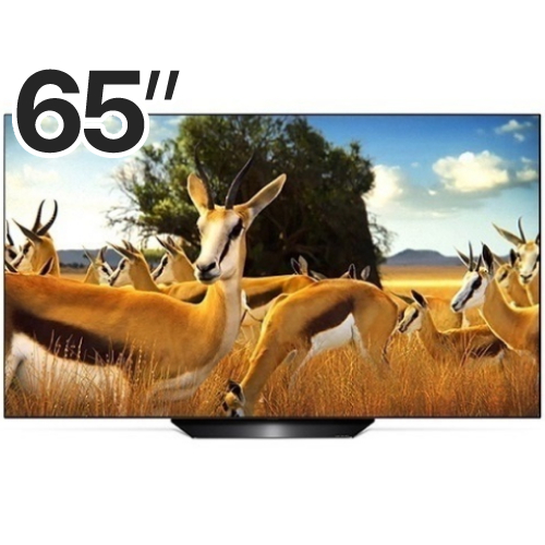 LG전자 올레드 OLED65B9CNA (스탠드)