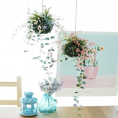 �ູ�Ѹ��� ���� �ϳ��� ��� ���� ������ �󺥴� ��ȭ