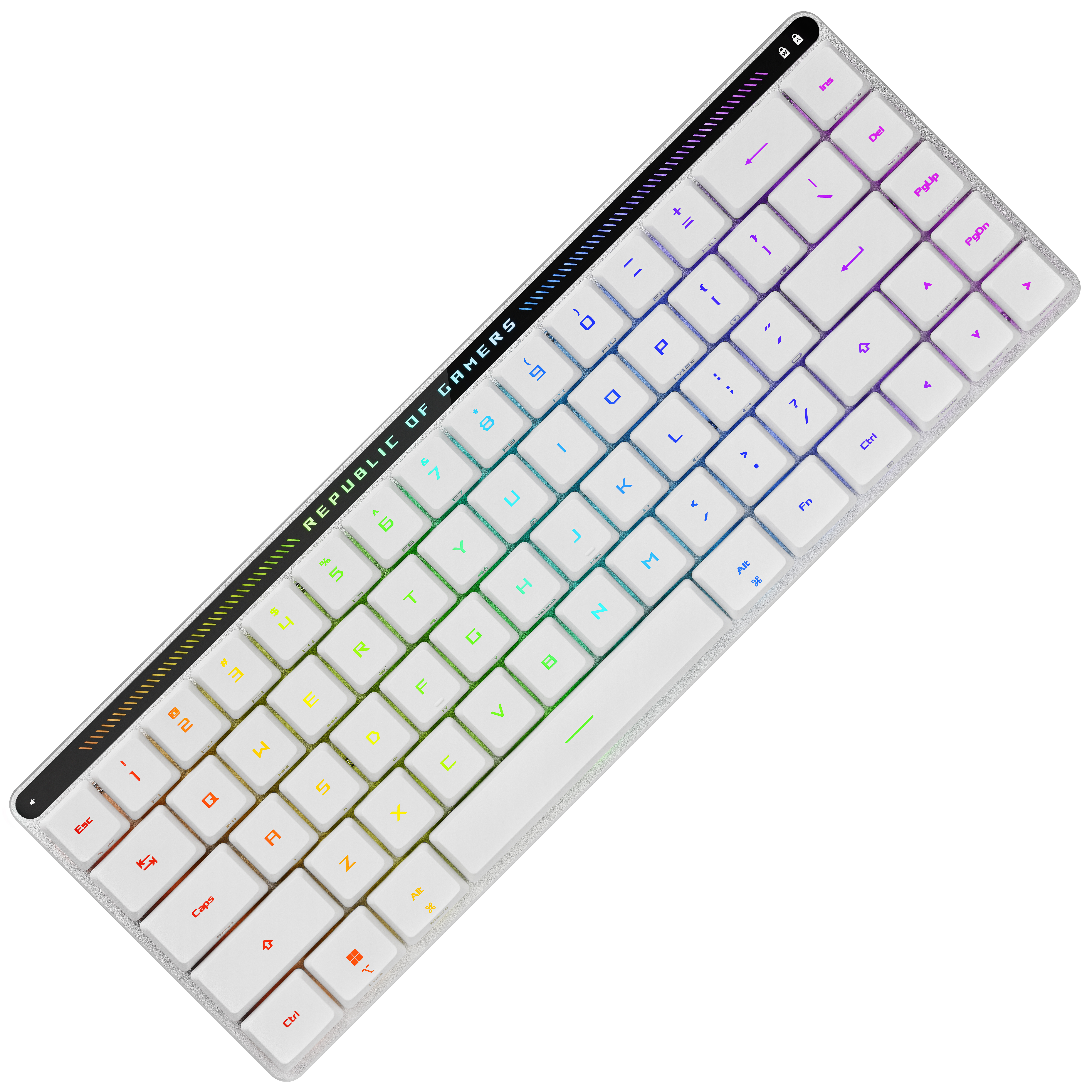 ASUS ROG FALCHION RX Low Profile 유무선 기계식 한글 (청축)_이미지