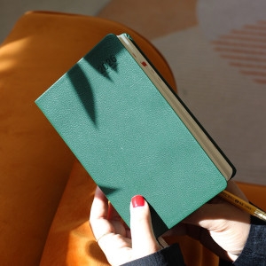 ����Ŭ���÷��� 2026 ĳ�־� ���̾ 1D1P 32�� LOGROG