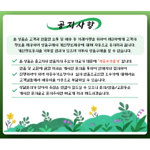 키재기스티커 기린과풍선놀이 FDT-6311 대형스티커