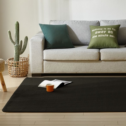 르헤브 워셔블 소프트 고밀도 극세사 러그 단모 카페트 (250x200cm)_이미지