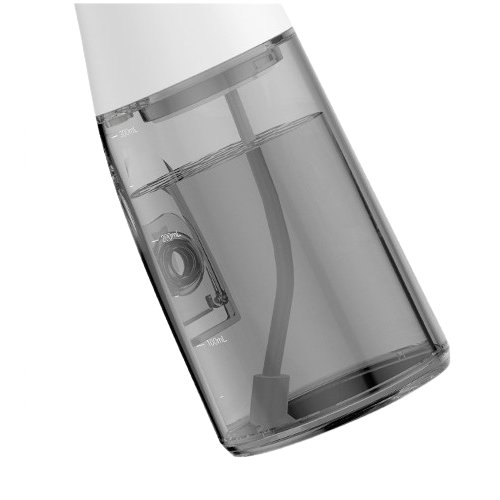 알로코리아 덴픽션 AWF1R (1개)_이미지