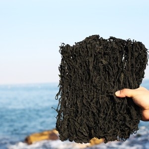 지봉마켓 기장 산모 미역 200g 자연산 돌미역 건미역