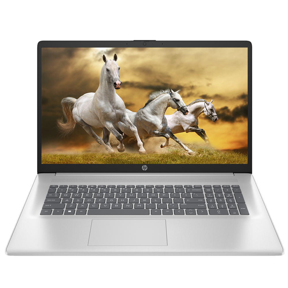 HP 17s-cu2006TU WIN11 8GB램 (SSD 4TB)_이미지