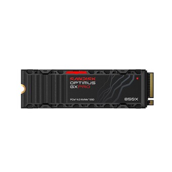 Sandisk Optimus GX PRO 850X 히트싱크 M.2 NVMe