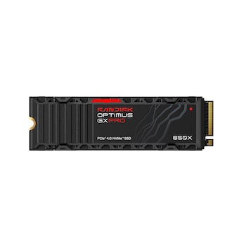 Sandisk Optimus GX PRO 850X 히트싱크 M.2 NVMe