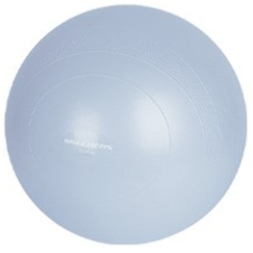 스케쳐스 안티버스트 짐볼 (L, 75cm)_이미지
