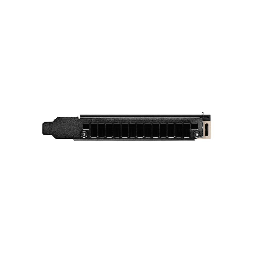 NVIDIA RTX PRO 4500 Blackwell 서버 에디션 D7 32GB 서린 (벌크)_이미지