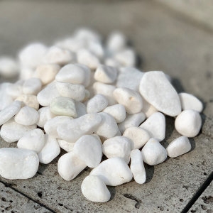 [불명] 백자갈20kg 3호 자갈 분갈이흙 화분 조경 정원꾸미기