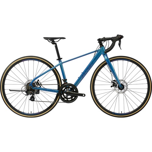 ���潺���� �ں� R14D (2026����)