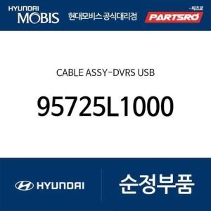  현대모비스 케이블-영상기록시스템 USB 95725L1000 쏘나타 DN8 쏘나타 DN8 하이브리드