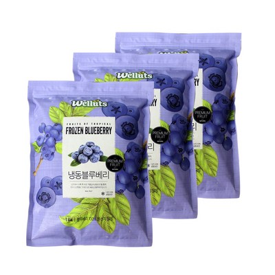 웰루츠 A등급 냉동 블루베리 (1kg,3개)