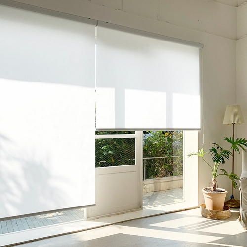 밍키 무지 롤스크린