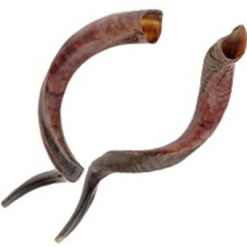 ㅤ양각나팔 쇼파르(SHOFAR) No.6_이미지