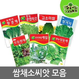 동산원  씨앗모음 쌈채소 상추 채소씨앗 치커리 청경채 씨앗