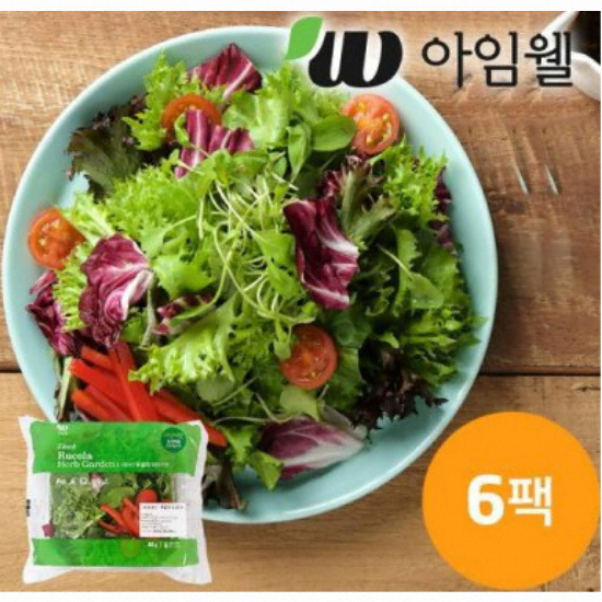 와이즈유엑스글로벌 아임웰 신선한 샐러드 이탈리안 루꼴라 허브가든 80g (6개)
