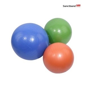 샌트밴드 샌트짐볼 블루베리-75cm KS-0010-03