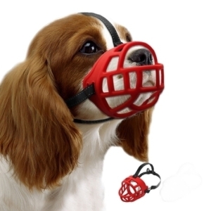 [불명] 실리콘 입마개 빨간색 (6호)_이미지