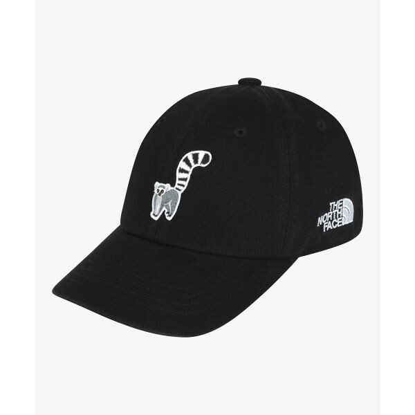 노스페이스 THE NORTH FACE KIDS 키즈 로고 볼캡 와펜 NE3CS00R BLK NE3CS00RBLK 288080_이미지