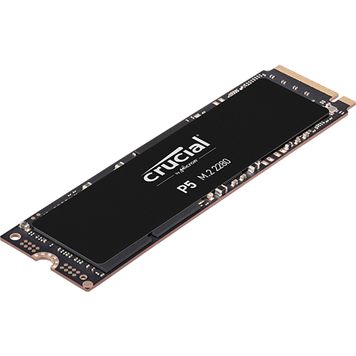 ����ũ�� Crucial P5 M.2 NVMe �ƽ�ũ��