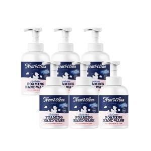 리즈코스 니트앤 클린 퍼퓸 히알루론 포밍 핸드워시 500ml (6개)_이미지