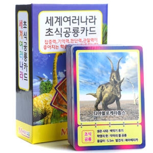 메모리교육 메모리교육 세계 여러나라_이미지